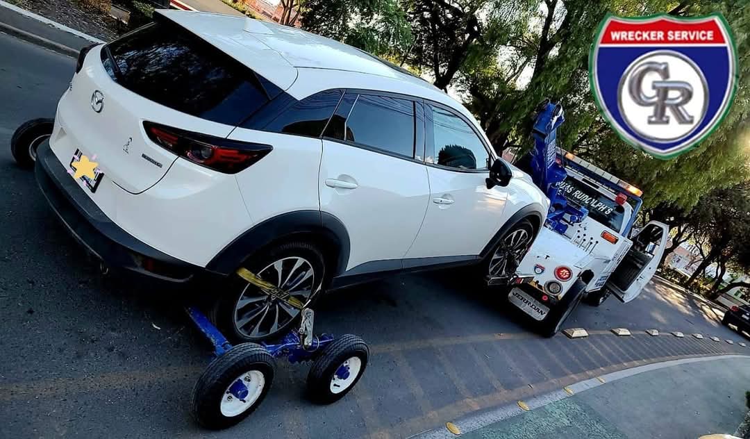 Servicio de Dolly